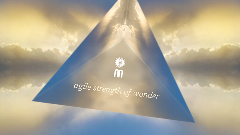 Agile stregth of wonder: Officina Mirabilis structure and services